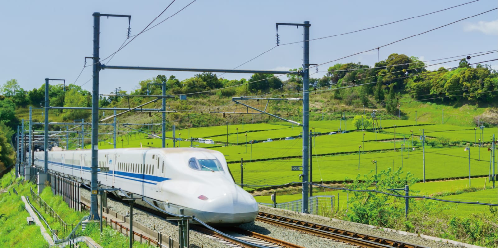 緑の茶畑の中を白い新幹線が高速で走行している風景